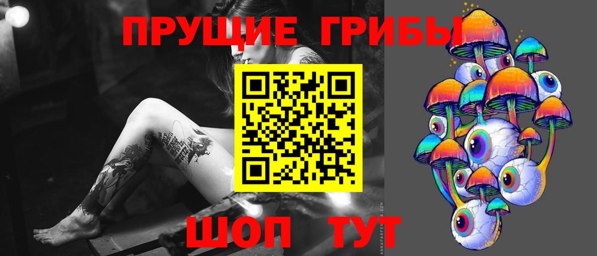 Одинцово  Псилоцибиновые грибы Psilocybine cubensis  Вход с VPN 